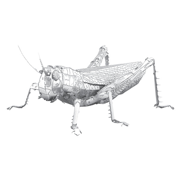 Metal Earth - Sauterelle