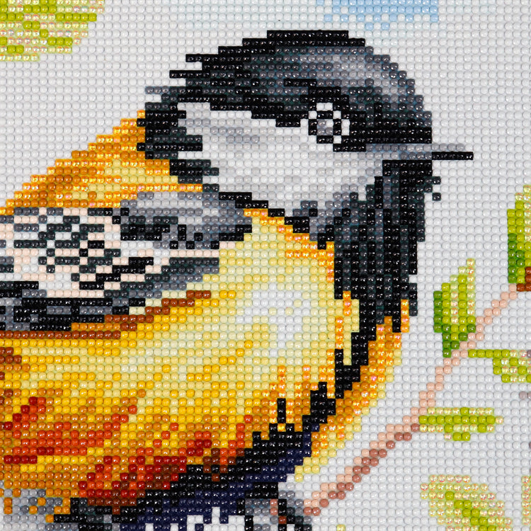 Broderie de diamant - Oriole