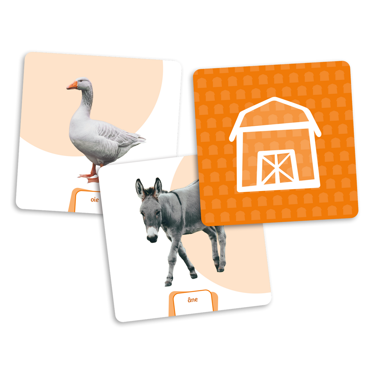 Le dé des premiers mots - Les animaux (Exp) (Fr)