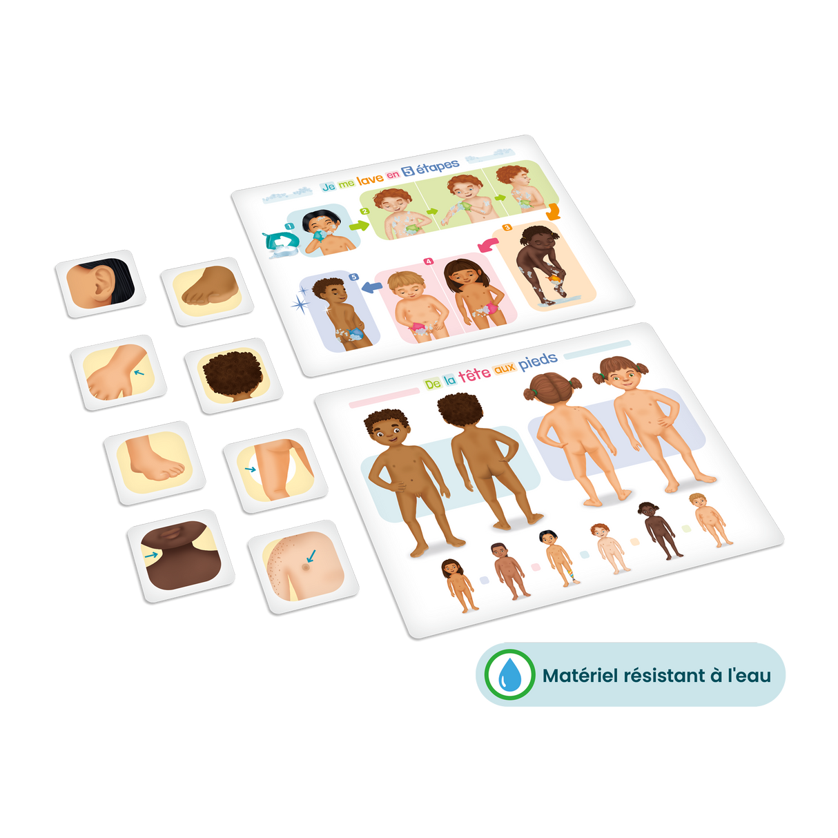 De la tête aux pieds (Fr)