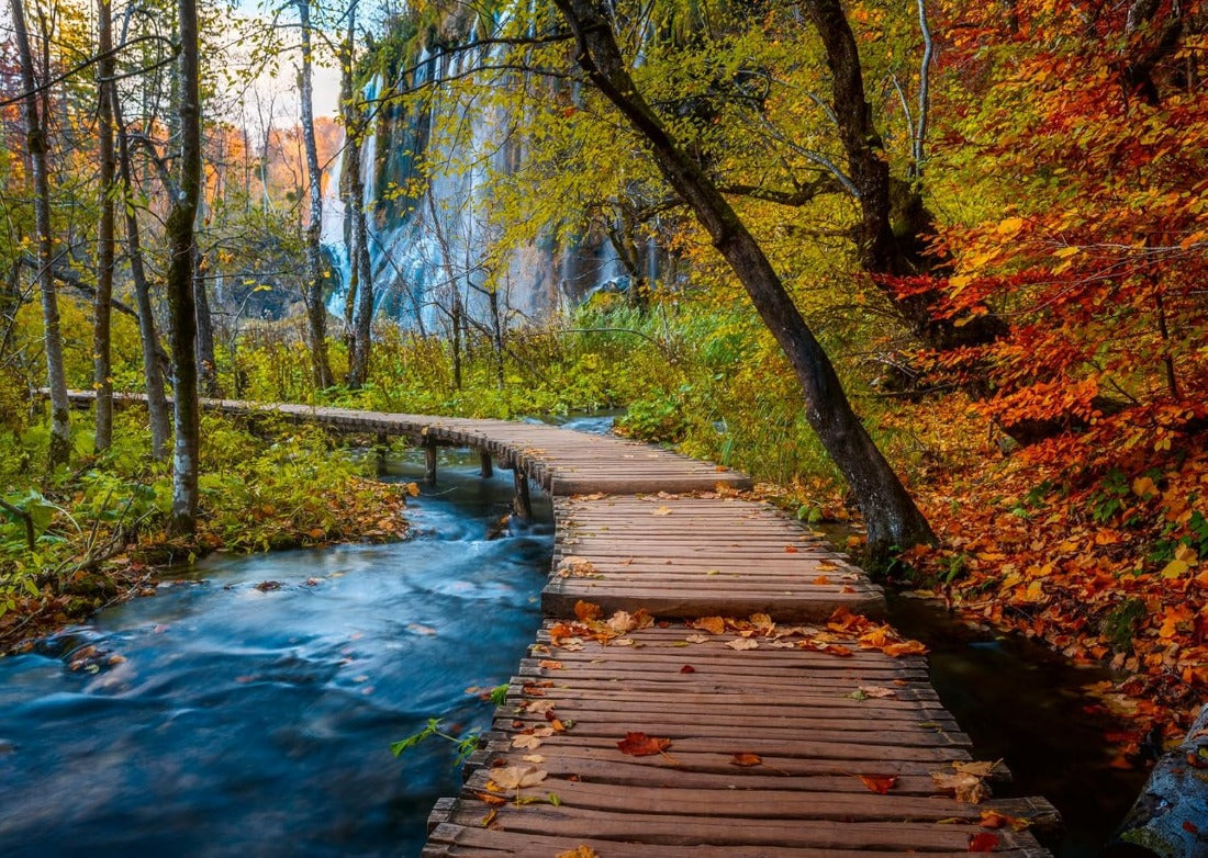 Autumnal Wooden Trail - 1000 mcx