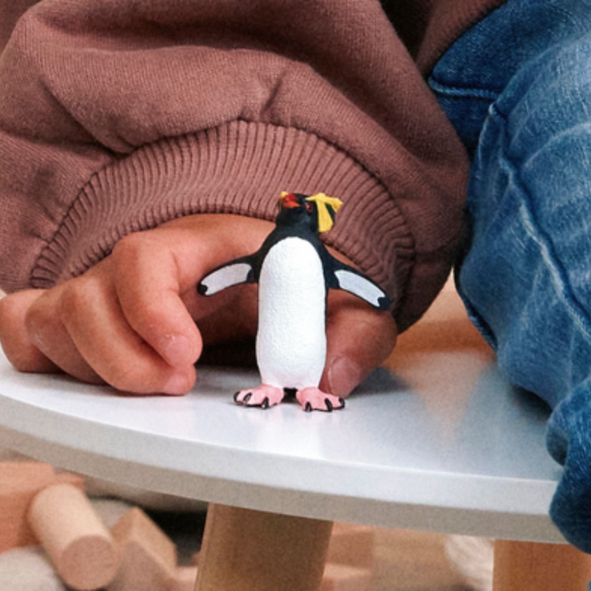 Rockhopper Penguin