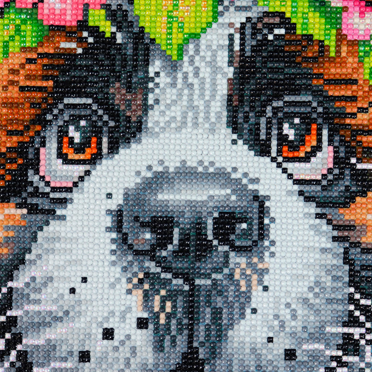 Broderie de diamant - St-Bernard