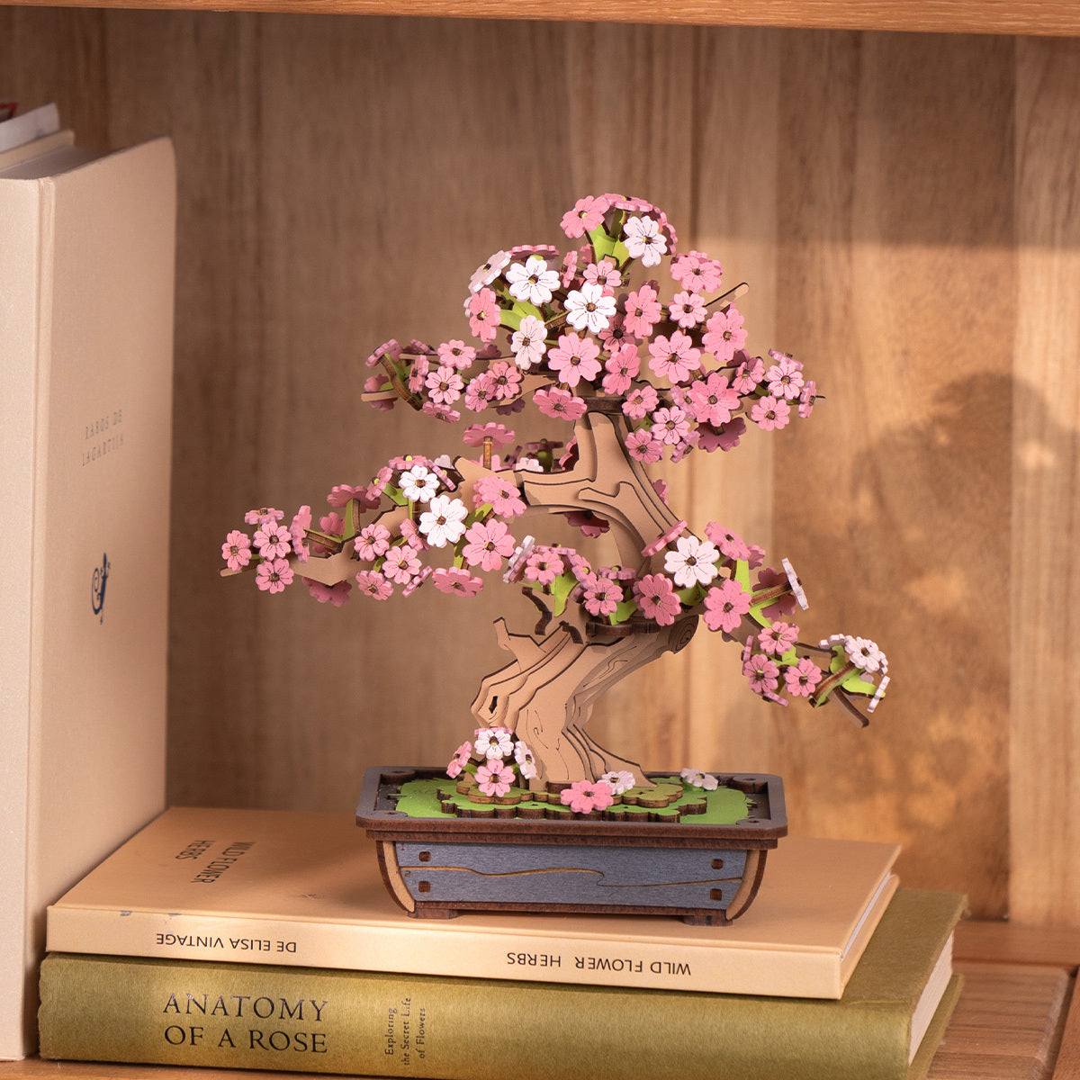 DIY Creation Set - Sakura Bonsai