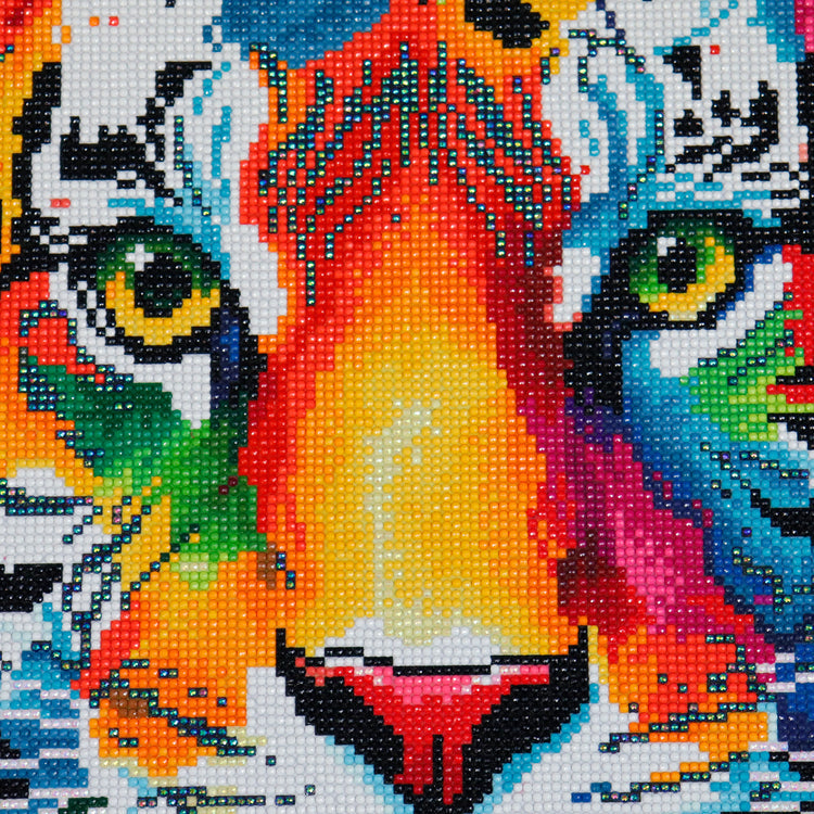 Broderie de diamant - Tiger Face - 40 x 50 cm
