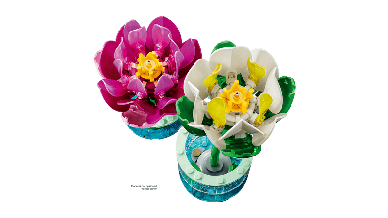 Water Lilies - Botanical Collection