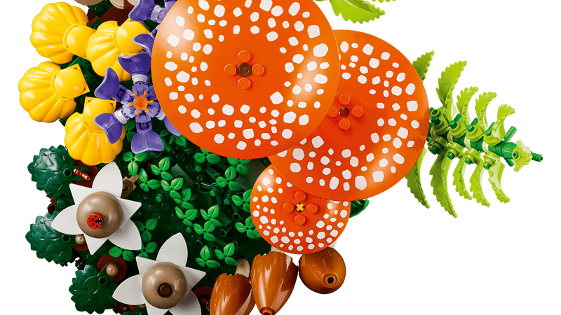 Les champignons des bois - Botanical Collection