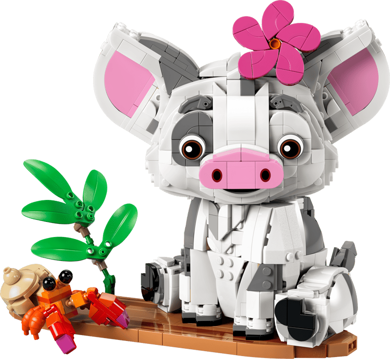 Pua - Disney
