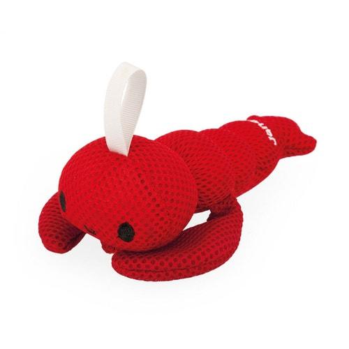 Éponge Animal Marin Assotiment - La Ribouldingue