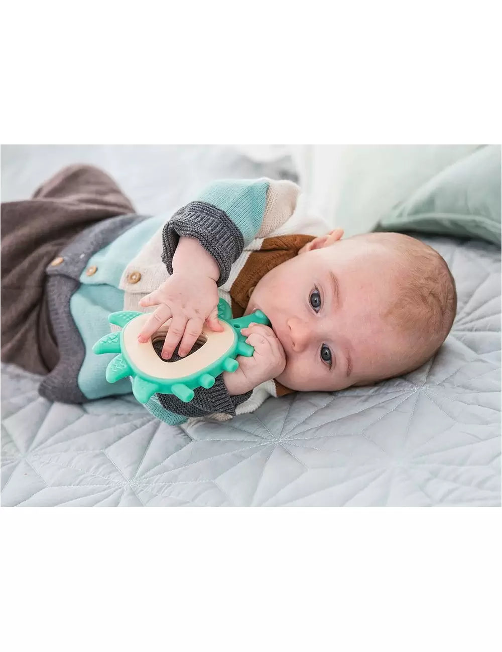 Teether Hedgehog