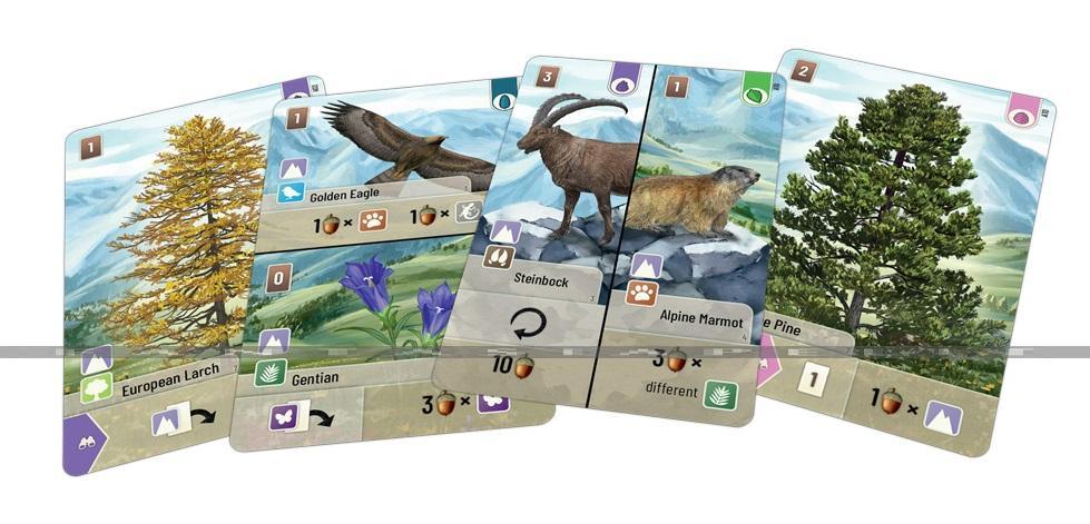 Forest Shuffle - Alpine Shuffle (Ext) (Ang) - La Ribouldingue