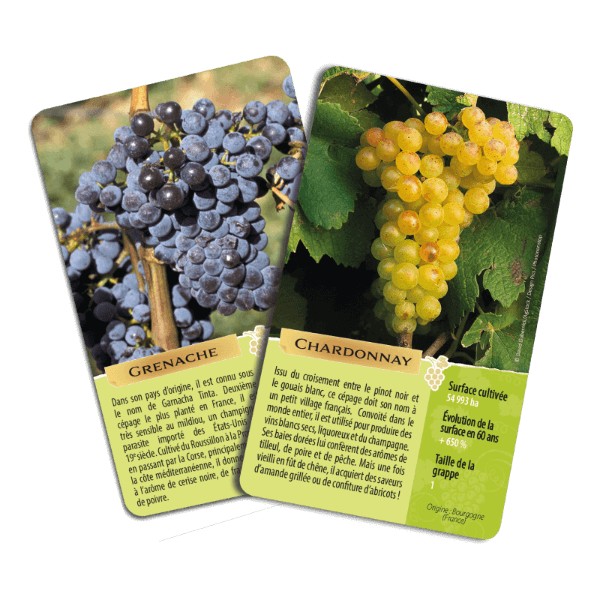 Le jeu des cépages (Fr) - La Ribouldingue