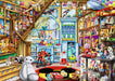 Le magasin de jouets Disney - 1000 mcx - La Ribouldingue