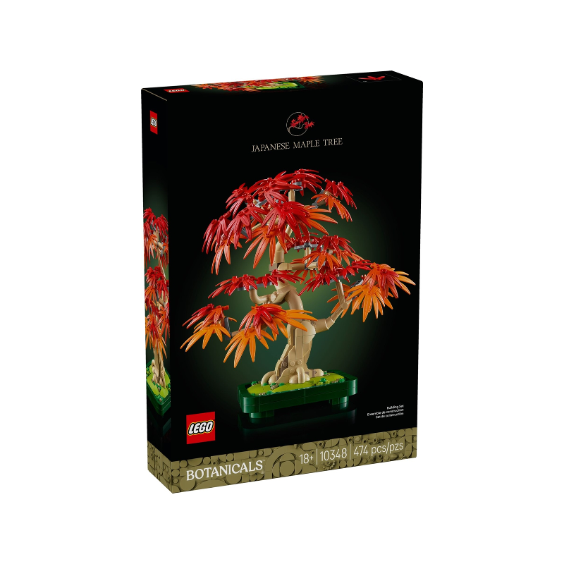 オブジェ Japanese Red Maple Bonsai - Botanical Collection – La Ribouldingue