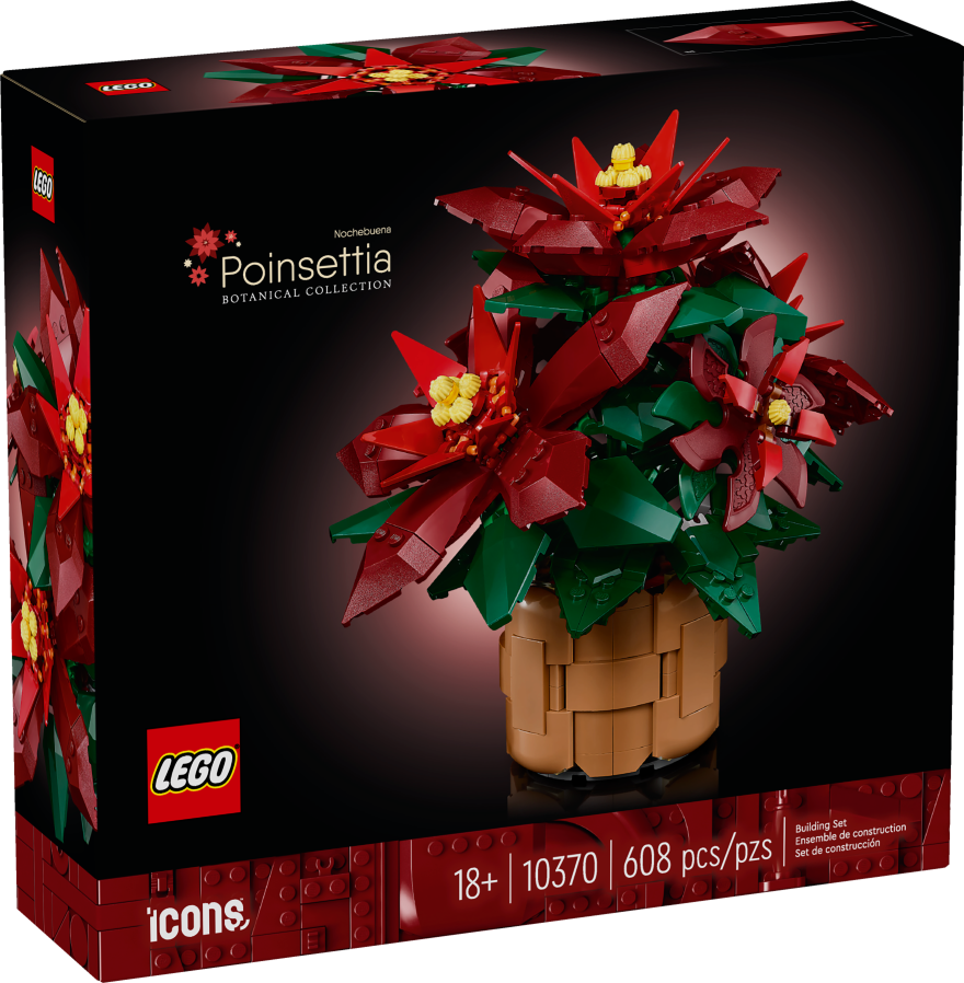 Le poinsettia - Icons