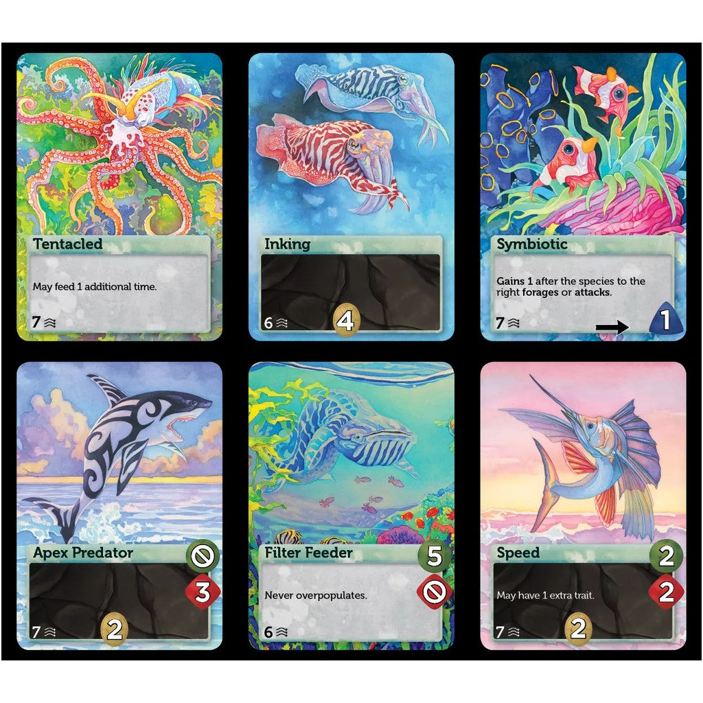 Oceans - Evolution (Ang)