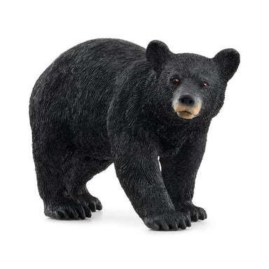 Ours noir d'Amérique - La Ribouldingue