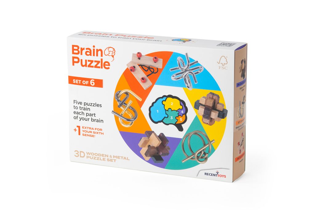 Brain Puzzle - Set of 6 (Multi)