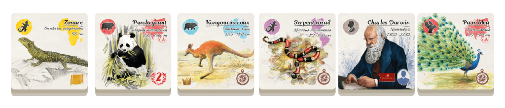 Sur les traces de Darwin (Fr) - La Ribouldingue