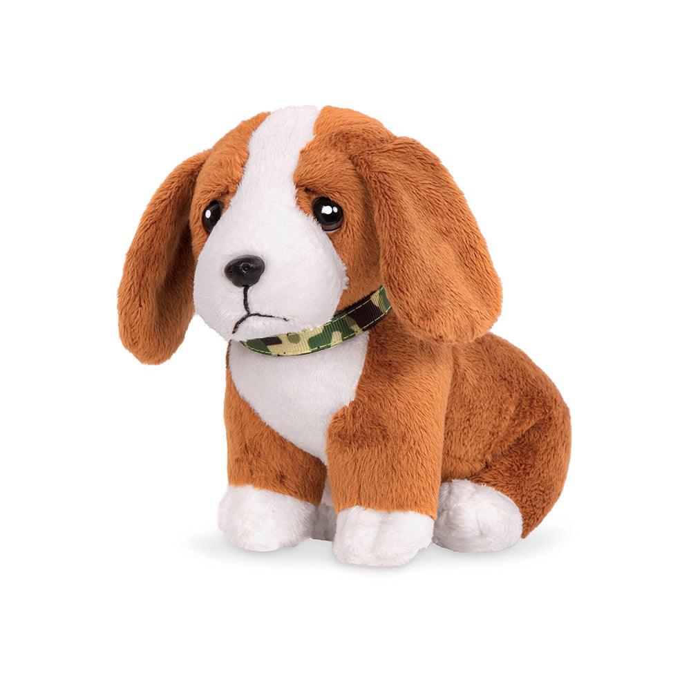 Chiot Basset Hound - La Ribouldingue