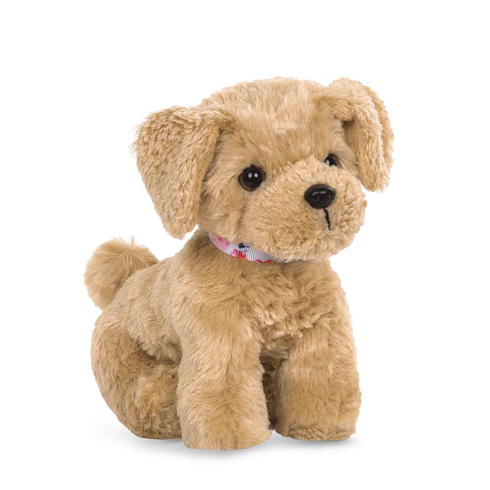 Chiot Goldendoodle - La Ribouldingue