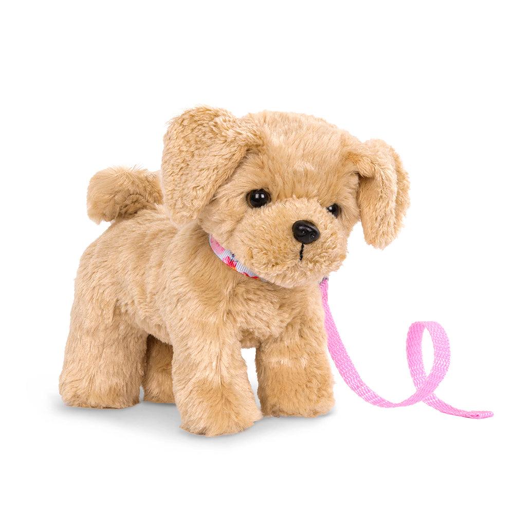 Chiot Goldendoodle - La Ribouldingue