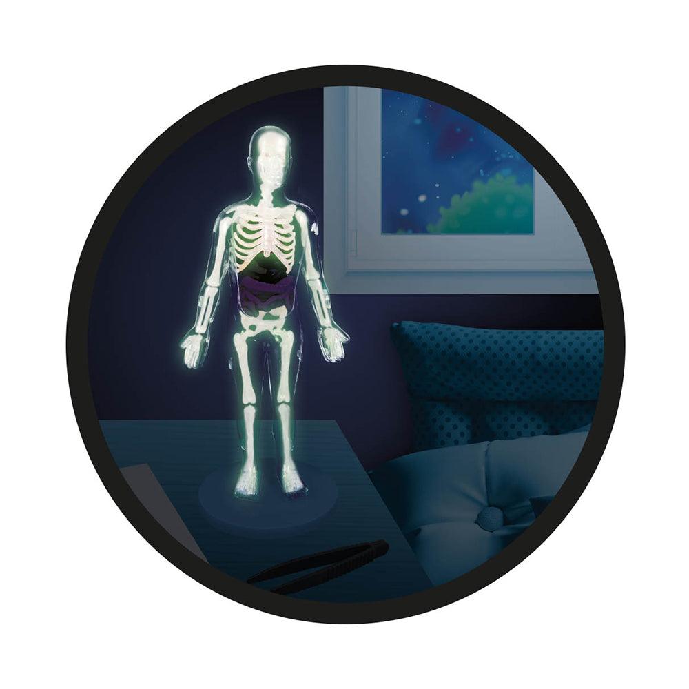 Corps humain (Multi) - La Ribouldingue