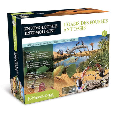 Entomologiste - L'Oasis des Fourmis (Bil) - La Ribouldingue