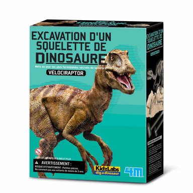 Excavation d'un Vélociraptor (Multi) - La Ribouldingue