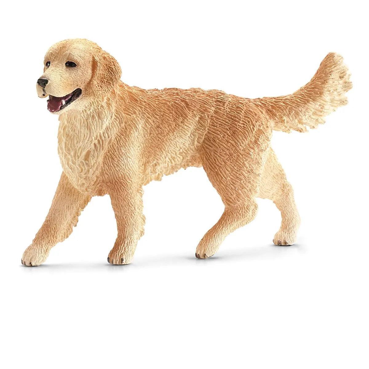 Golden Retriever femelle - La Ribouldingue