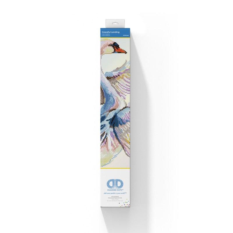 Graceful Landing - Intermédiaire - La Ribouldingue