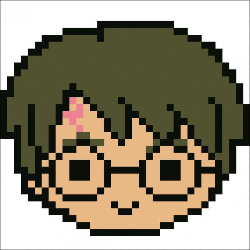 Harry Potter - Débutant - La Ribouldingue