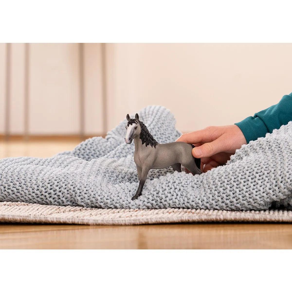 Jument Selle Français - La Ribouldingue