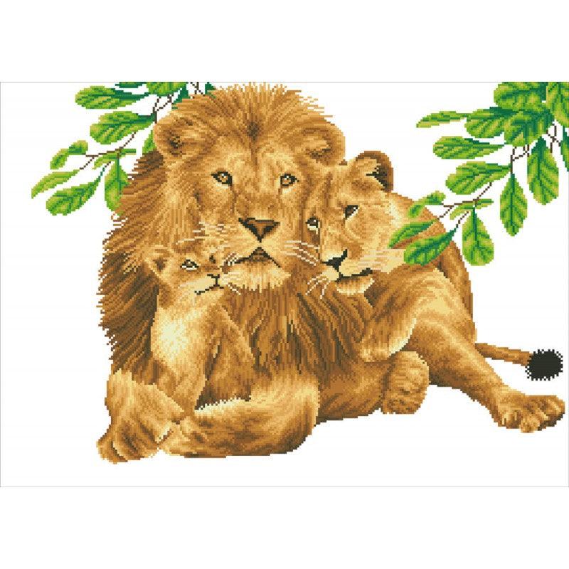 Lion Family - Avancé - La Ribouldingue