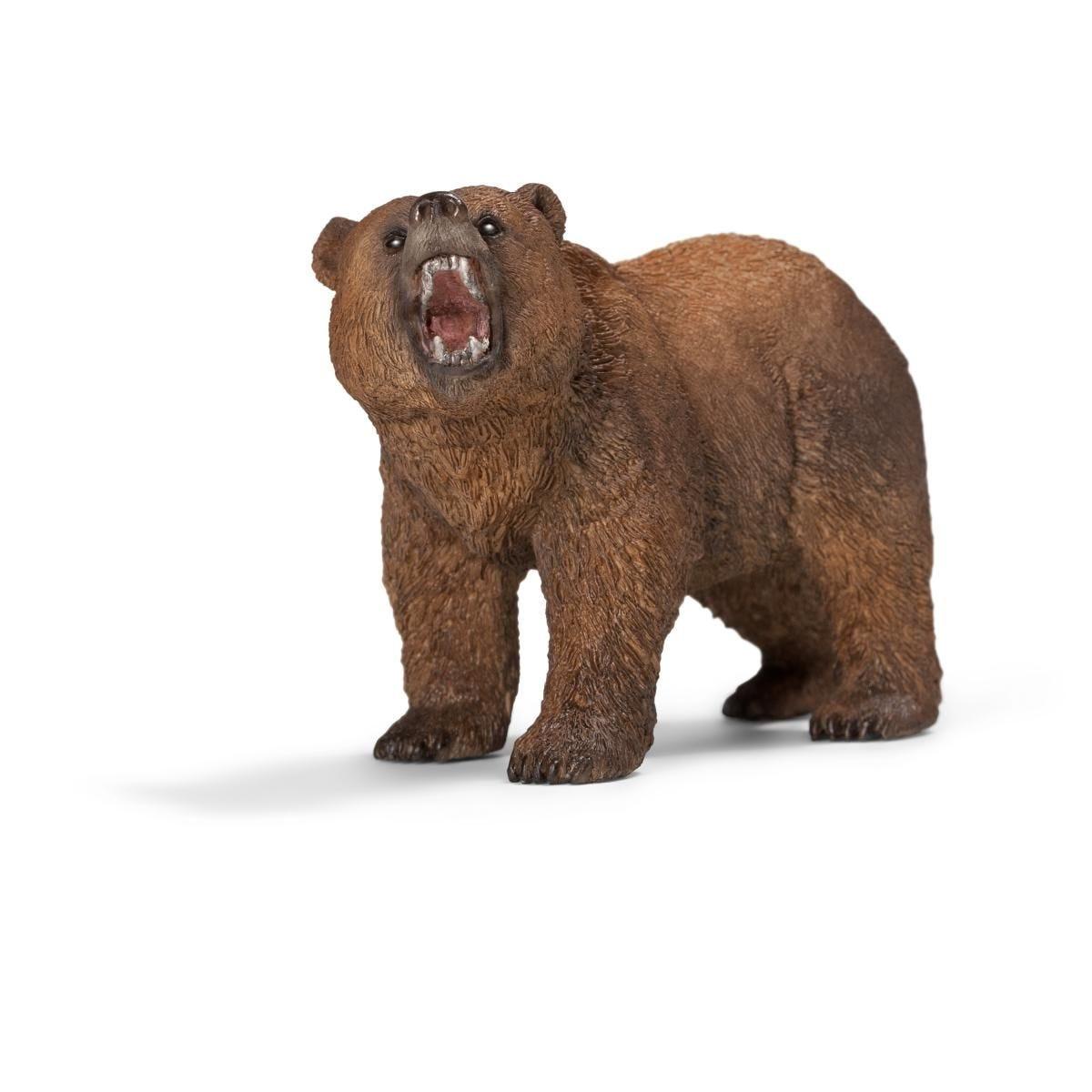 Ours Grizzly - La Ribouldingue