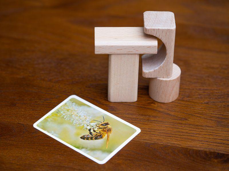 Pictures (Fr) - La Ribouldingue