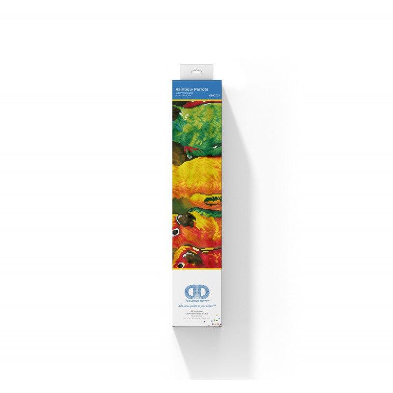 Rainbow Parrots - Intermédiaire - La Ribouldingue