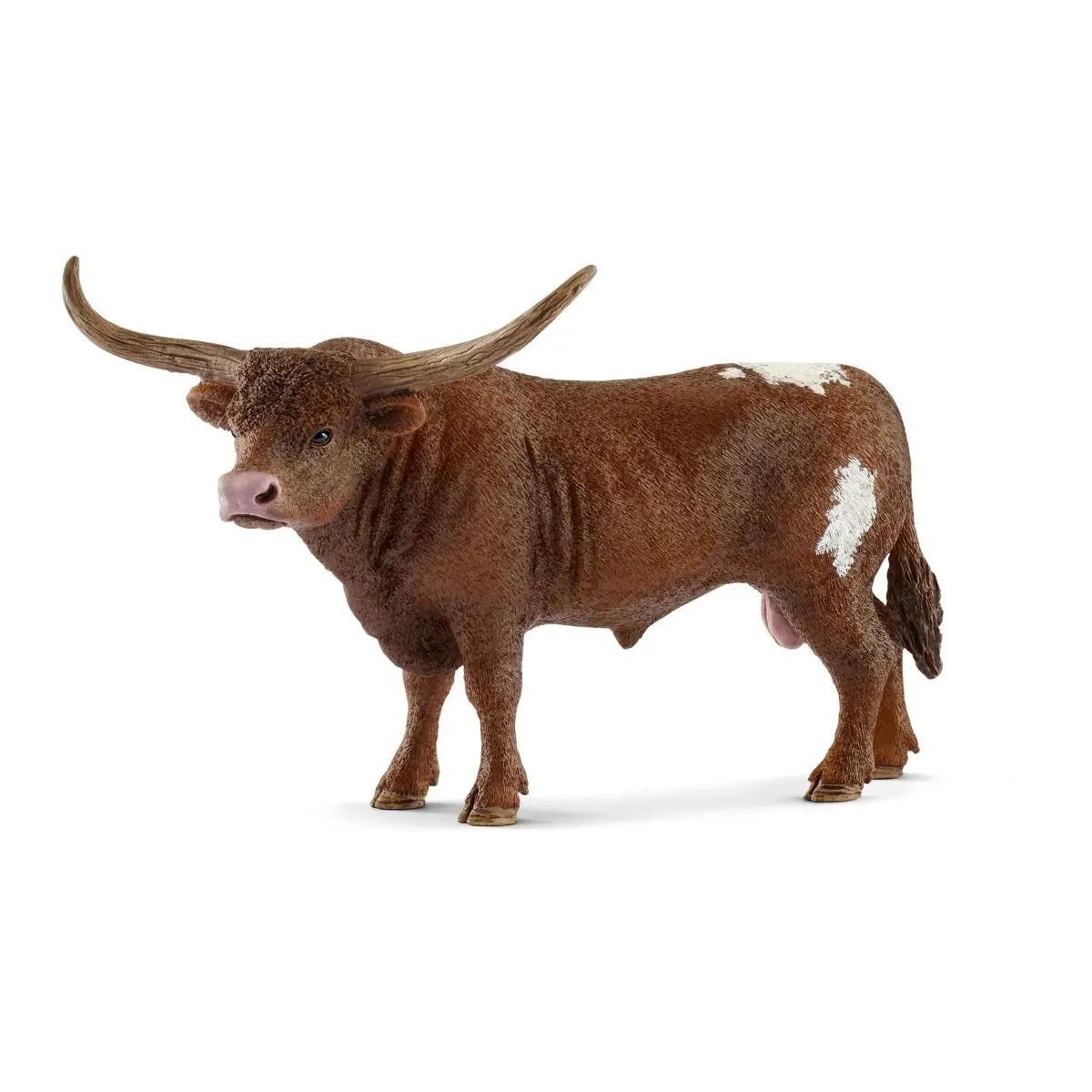 Taureau Texas Longhorn - La Ribouldingue