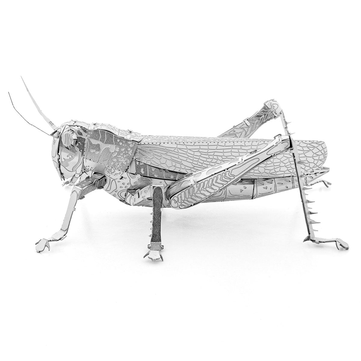 Metal Earth - Sauterelle