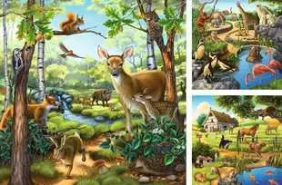 Forest / Zoo / Domestic Animals - 3 x 49 pcs