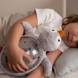 Tranquil Penguin Rechargeable - Gris