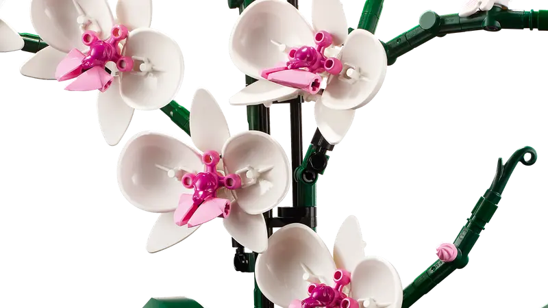 L'orchidée - Botanical Collection