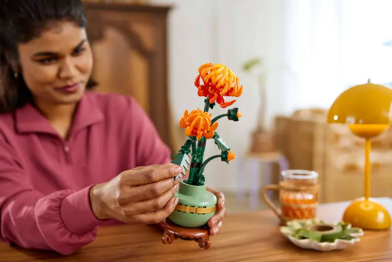 Chrysanthemum - Botanical Collection – La Ribouldingue