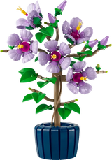 L’hibiscus - Botanical Collection