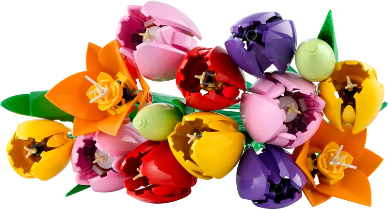 Le bouquet de tulipes - Botanical Collection