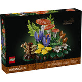Les champignons des bois - Botanical Collection