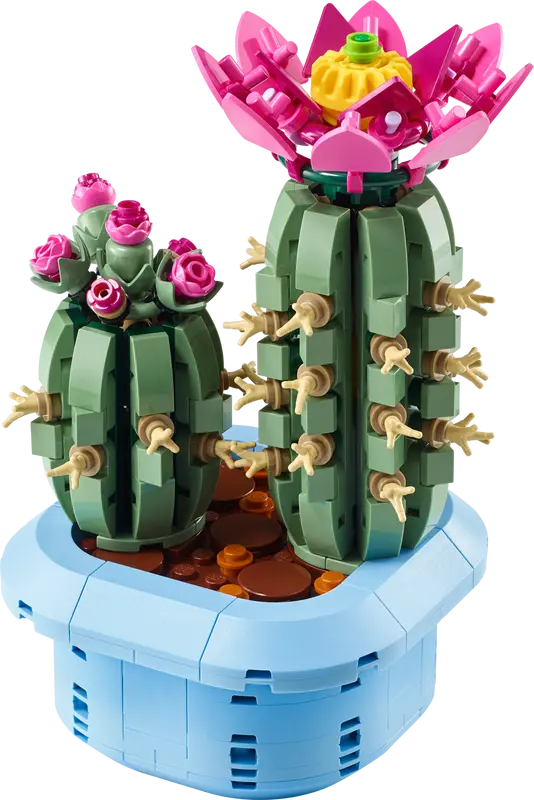 Le cactus en fleurs - Botanical Collection