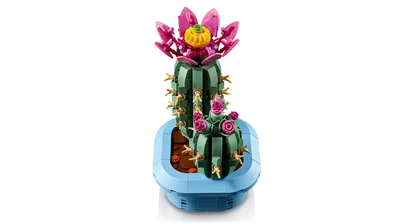 Le cactus en fleurs - Botanical Collection