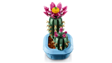 Le cactus en fleurs - Botanical Collection