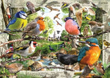 Our Feathered Friends - 1000 mcx